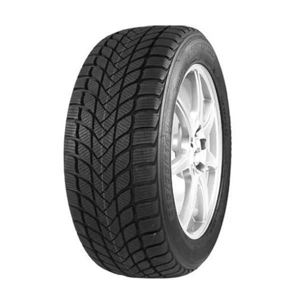 Mastersteel WinterPlus ISW