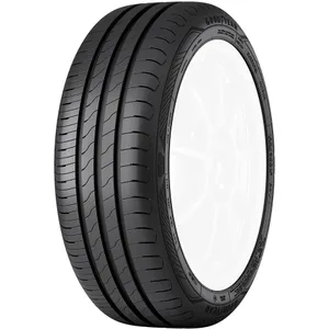 Goodyear EfficientGrip Performance 2