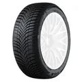 Giti Winter W2