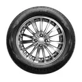 Roadstone Eurovis Alpine WH1