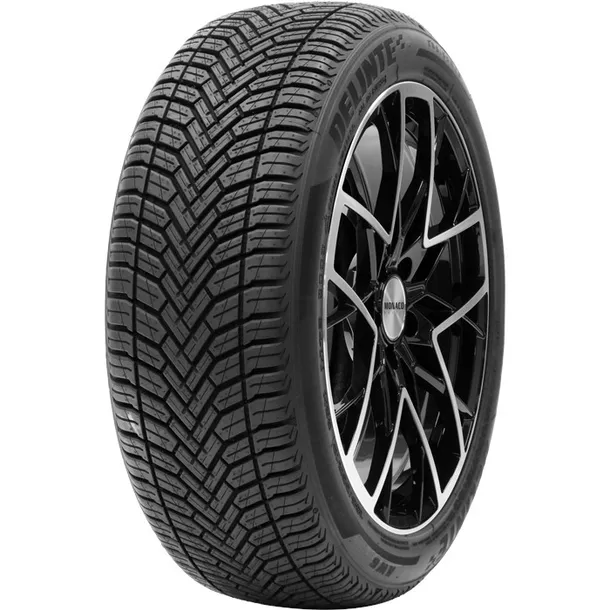 Delinte AW 6