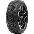 Delinte AW 6