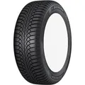 Dunlop Winter Trail