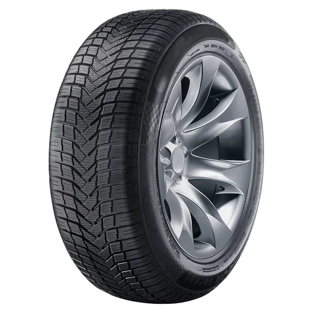 Black Arrow All Season Dart 4S