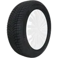 Massimo MSA11