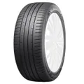 Tercelo Tercesis Eco