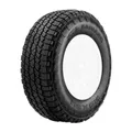 Nexen Roadian ATX
