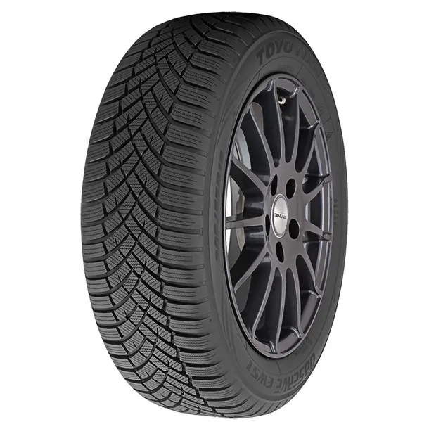 Toyo Observe EWS1