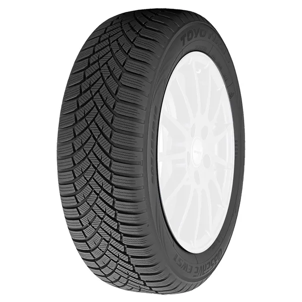 Toyo Observe EWS1