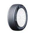 GT Radial FE2 Evo
