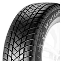 GT Radial Winterpro 2