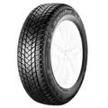 GT Radial Winterpro 2