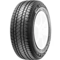 Lassa Competus HL