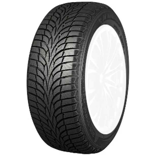 Nankang Winter Activa SV 3