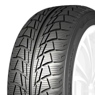 Nankang Snow Viva SV 1