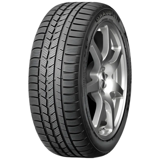 Roadstone Winguard Snow G WH2