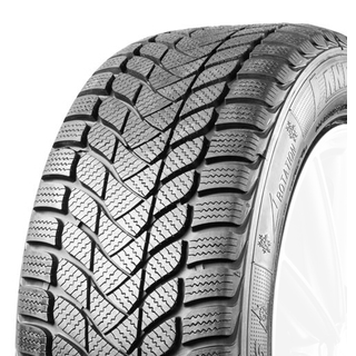 Sentury-Landsail Winter Lander