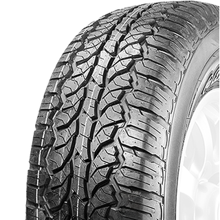 Windforce Catchfors AT