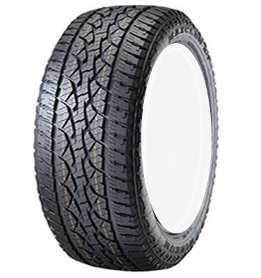 Winrun Maxclaw AT