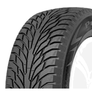 Petlas Explero Ice W681