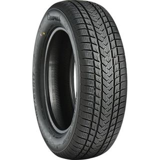 Gripmax SureGrip E Winter