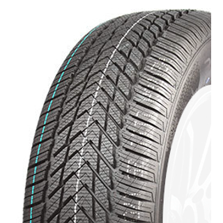 Royal Black Royal Winter HP