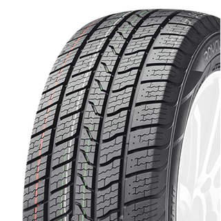 Royal Black Royal Van AS