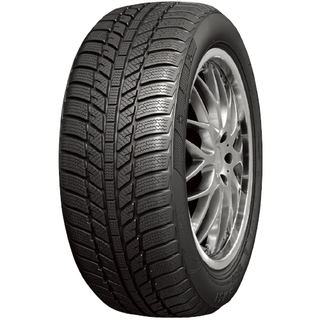 RoadX RXFrost WH01